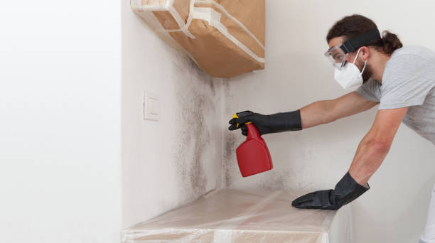Professional Bathroom Mold Removal technician working in Gillette, NJ