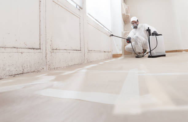 24/7 Emergency Bathroom Mold Removal experts in Gillette, NJ
