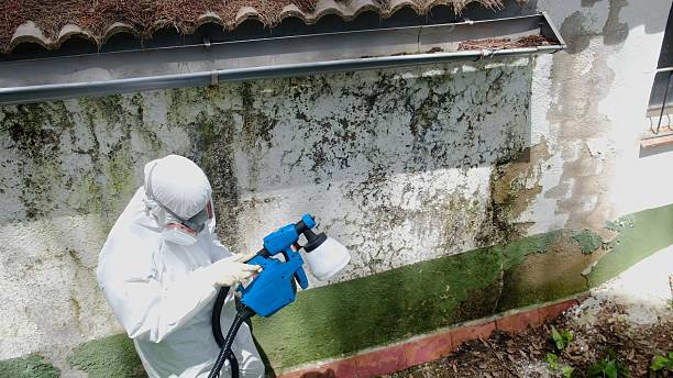 Top rated local Bathroom Mold Removal specialists in Gillette, NJ